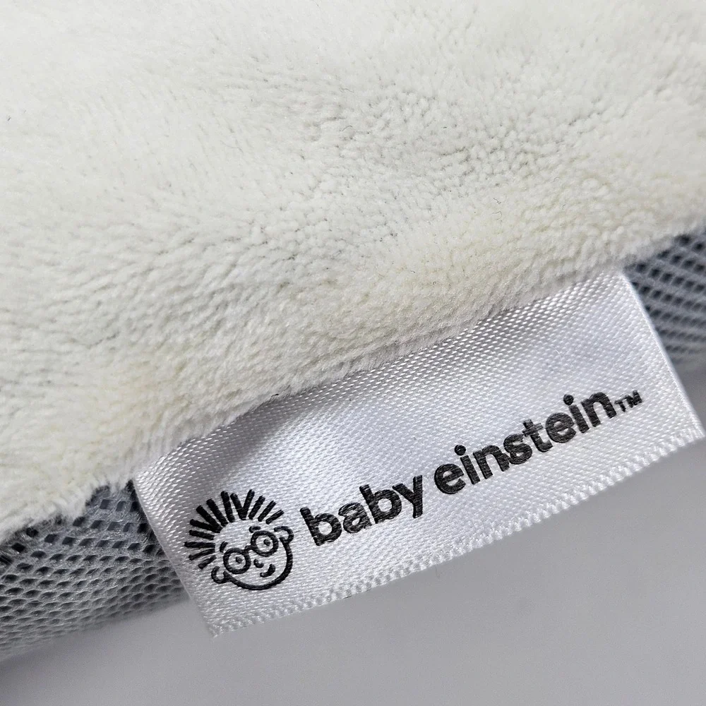 Baby Einstein save huge